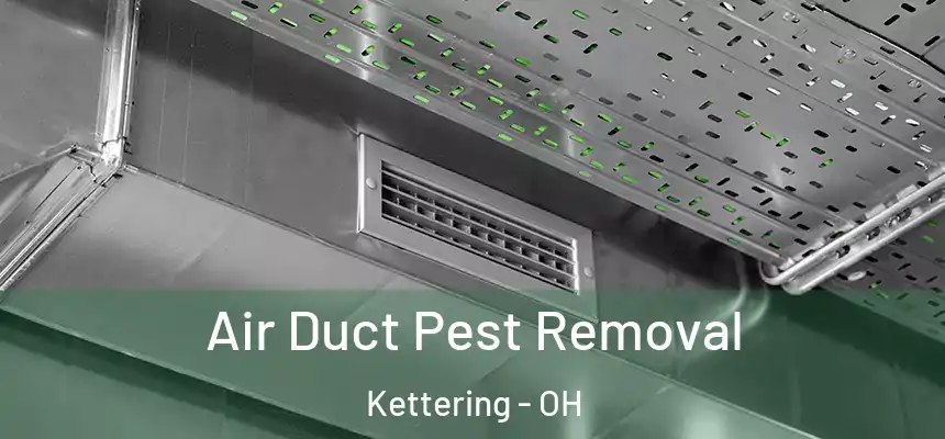  Air Duct Pest Removal Kettering - OH
