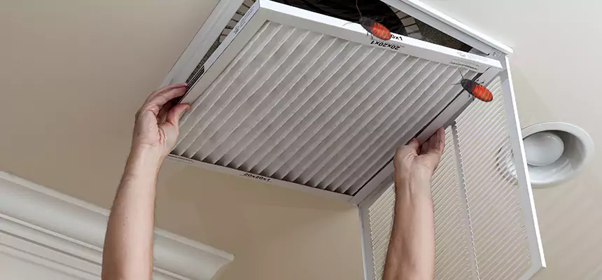 Preventive Cockroach-Proofing for Ducts in Kettering