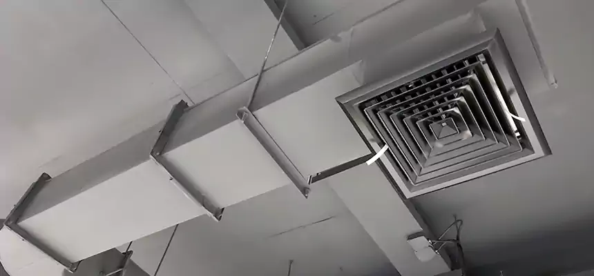 Our Pest Removal From Ducts Services in Kettering, OH