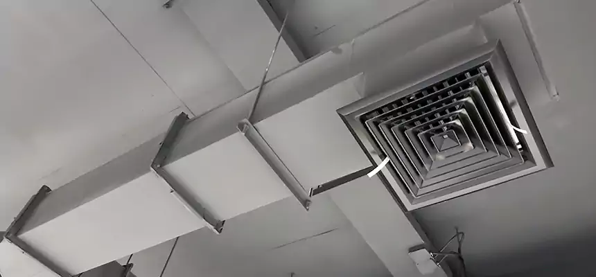 Our Rodent Droppings In Vents Services in Kettering, OH