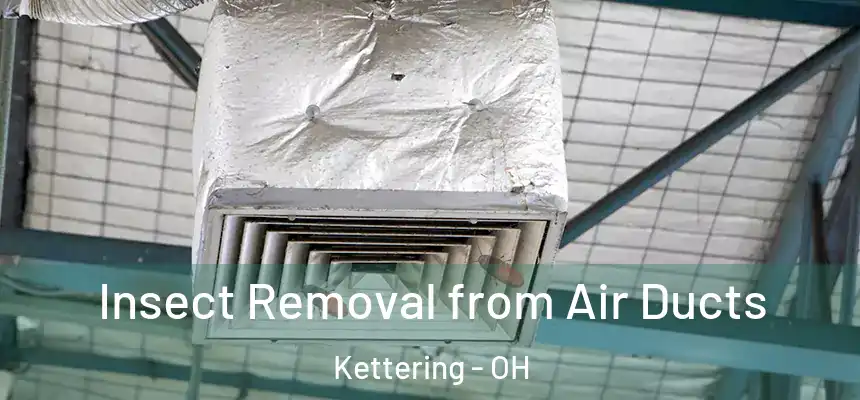  Insect Removal from Air Ducts Kettering - OH