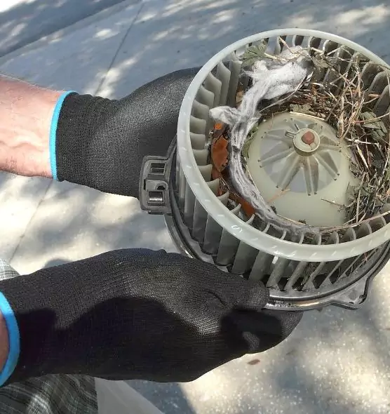 About Air Duct Rat Removal in Kettering, OH