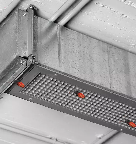 Affordable Insect Removal from Air Ducts in Kettering, OH