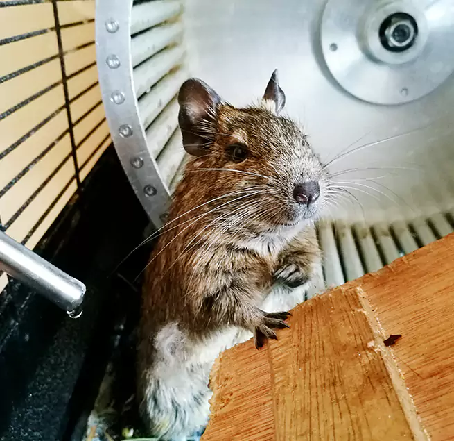 Why Homeowners & Businesses Trust Us Kettering, OH